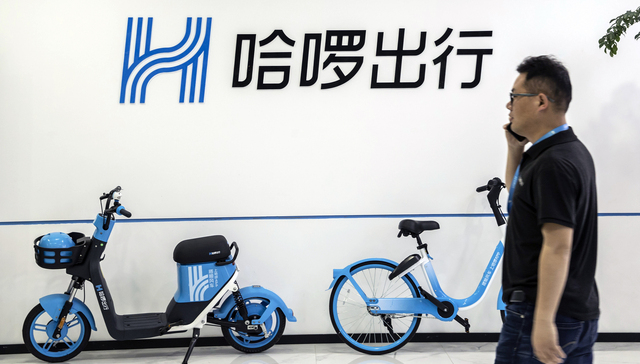 哈啰最新動態(tài)，擁抱自然美景的治愈之旅