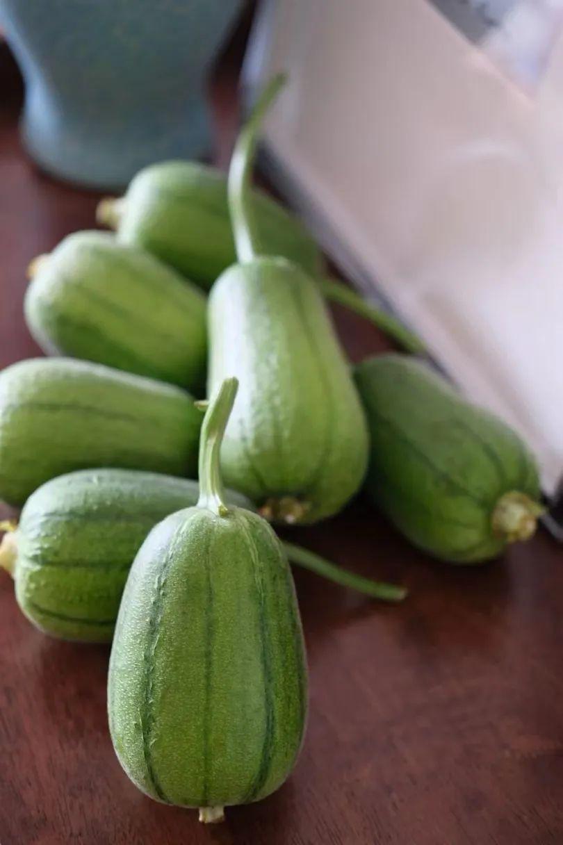 蘋(píng)果絲瓜最新版，全新升級(jí)魅力體驗(yàn)