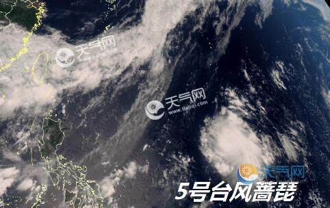 最新實(shí)時(shí)臺(tái)風(fēng)風(fēng)力查詢(xún)指南，風(fēng)力信息及查詢(xún)步驟全解析