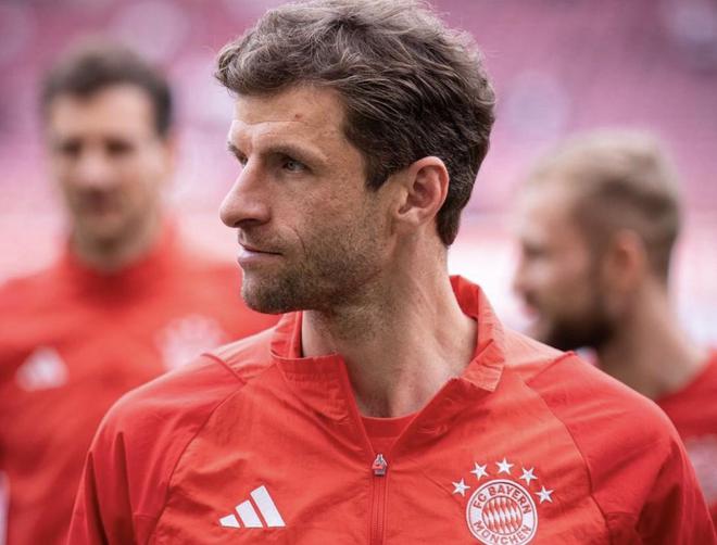 慕尼黑最新動(dòng)態(tài)，城市生活的溫馨日常