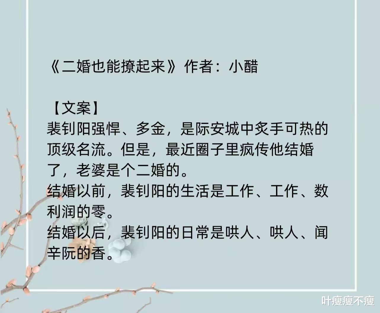 最新二婚小說，小巷深處的浪漫故事