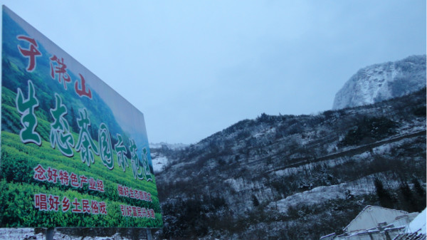 千佛山綿陽最新探索，巷弄深處的獨特風(fēng)味之旅