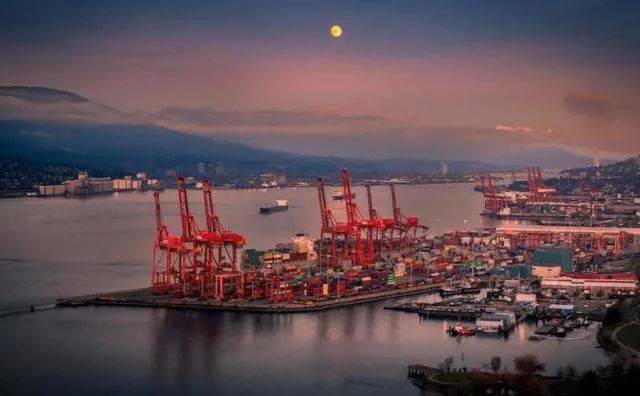 揭秘，53艘運煤船在華新動態(tài)與獨特煤香小店的故事