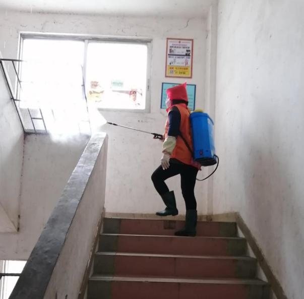 蓬江區(qū)最新高科技住宅，重塑未來生活體驗(yàn)的首選之地