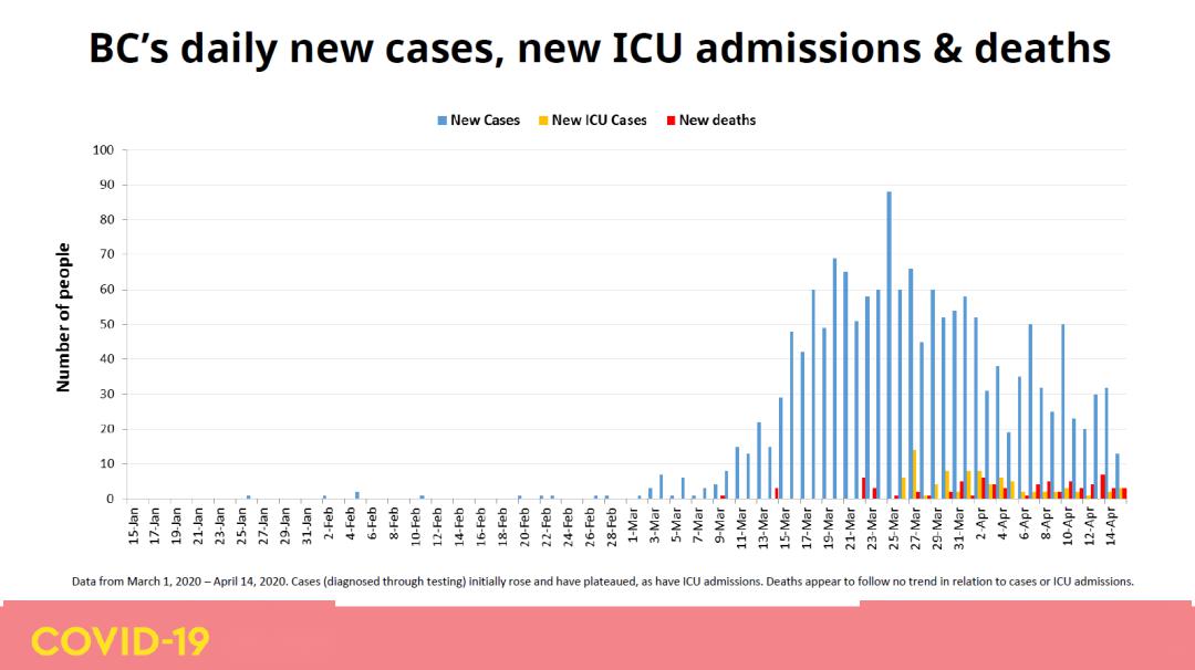 印度抗疫最新數(shù)據(jù)與大自然呼喚的心靈之旅時刻