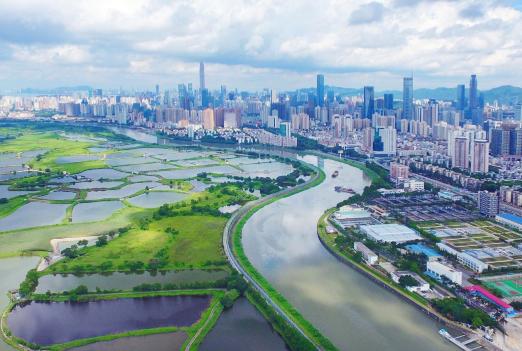 當下流行語探尋之旅，與大自然共舞，尋找內(nèi)心平靜之旅