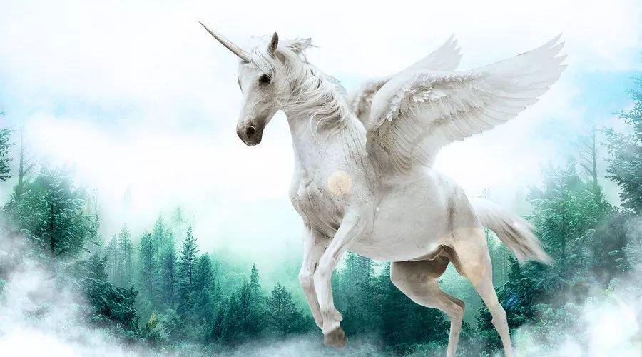 中國(guó)最新獨(dú)角獸，自信與成就感的源泉